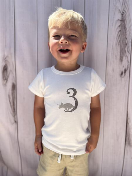 Dinosaur Birthday 3 T-Shirt