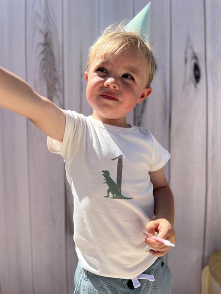 Dinosaur Birthday 1 T-Shirt