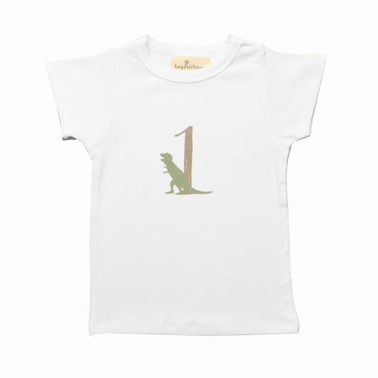 Dinosaur Birthday 1 T-Shirt