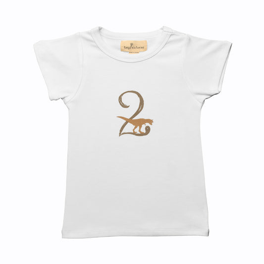 Dinosaur Birthday 2 T-Shirt