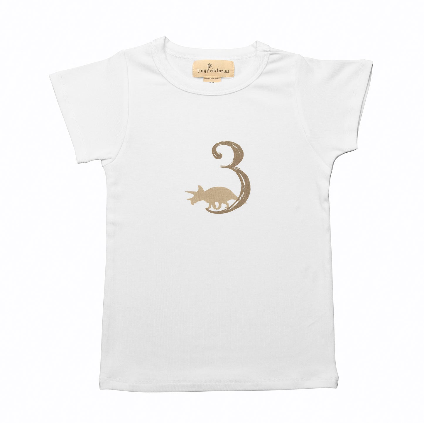 Dinosaur Birthday 3 T-Shirt