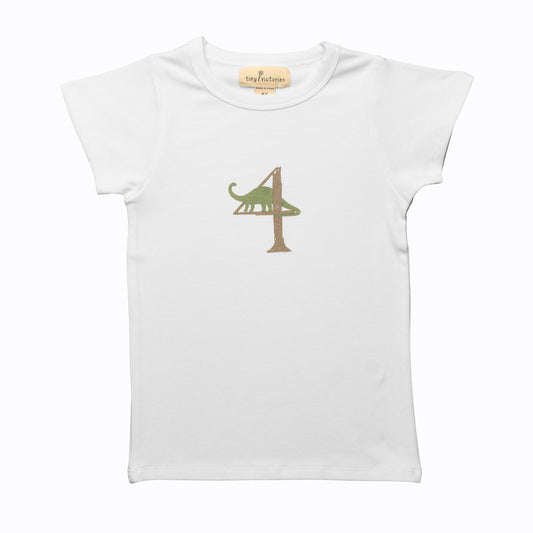 Dinosaur Birthday 4 T-Shirt